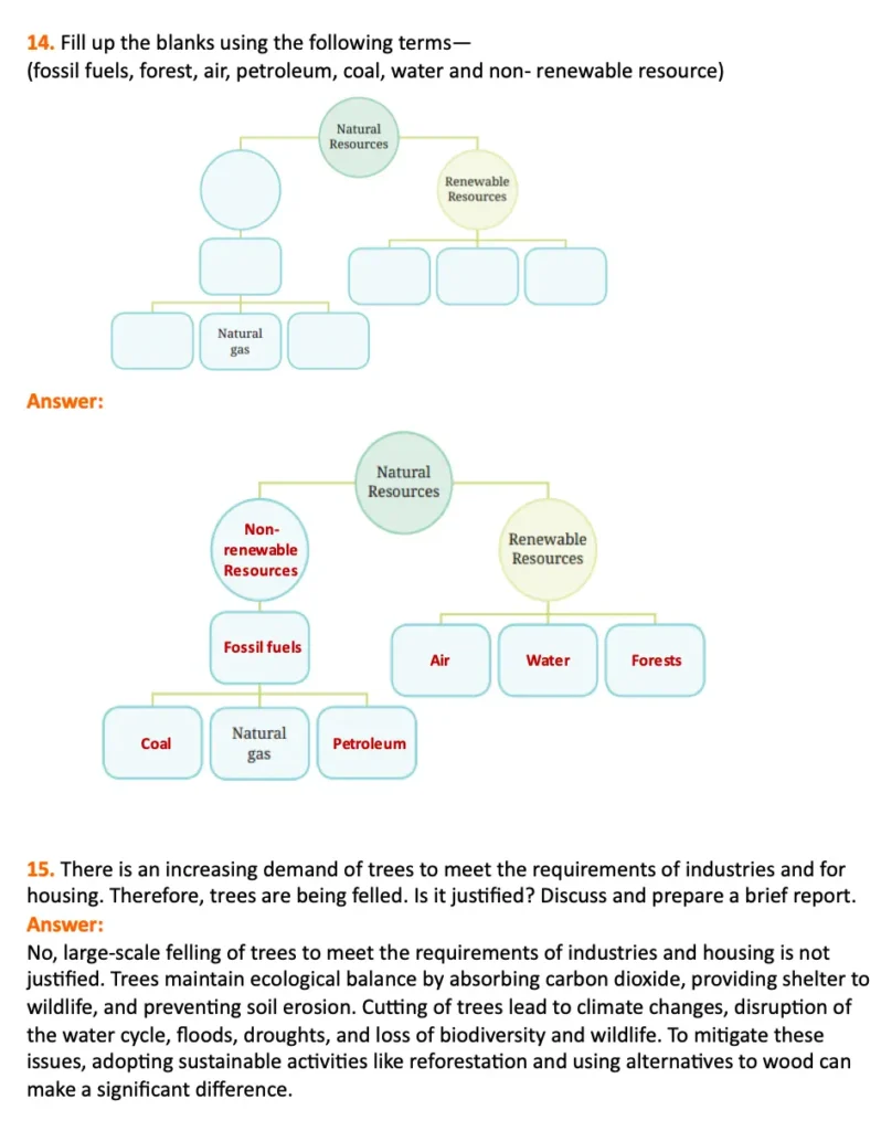 class 6 science curiosity chapter 11 nature's treasures question and answers 6