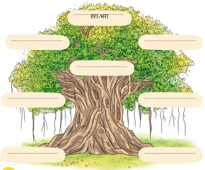 class 4 hindi chapter 3 neem नीम question answer image 4