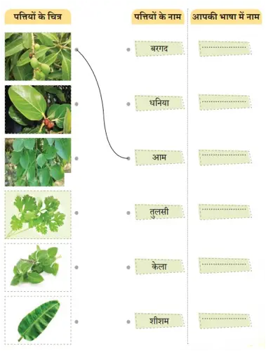 class 4 hindi chapter 3 neem नीम question answer image 5