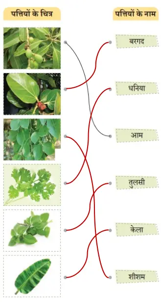 class 4 hindi chapter 3 neem नीम question answer image 6