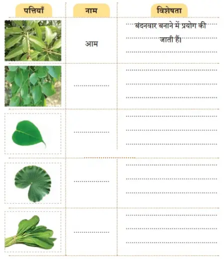 class 4 hindi chapter 3 neem नीम question answer image 7
