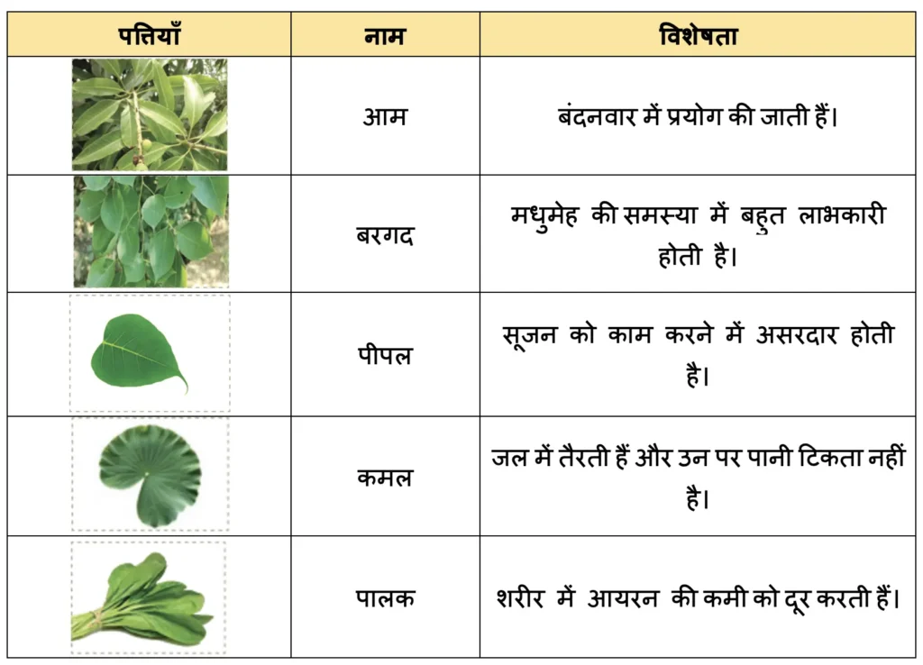 class 4 hindi chapter 3 neem नीम question answer image 8