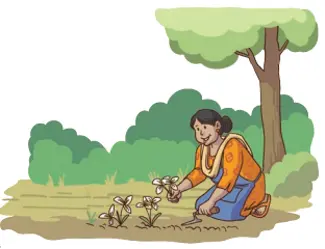 class 4 maths mela chapter 10 equal groups questions answers image 13