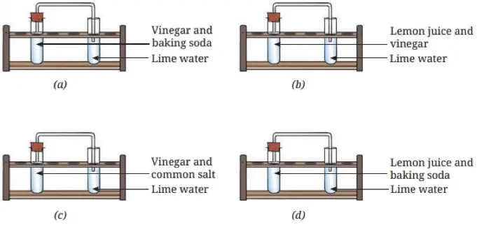 class 7 science curiosity chapter 5 changes around us physical and chemical changes solutions image 3