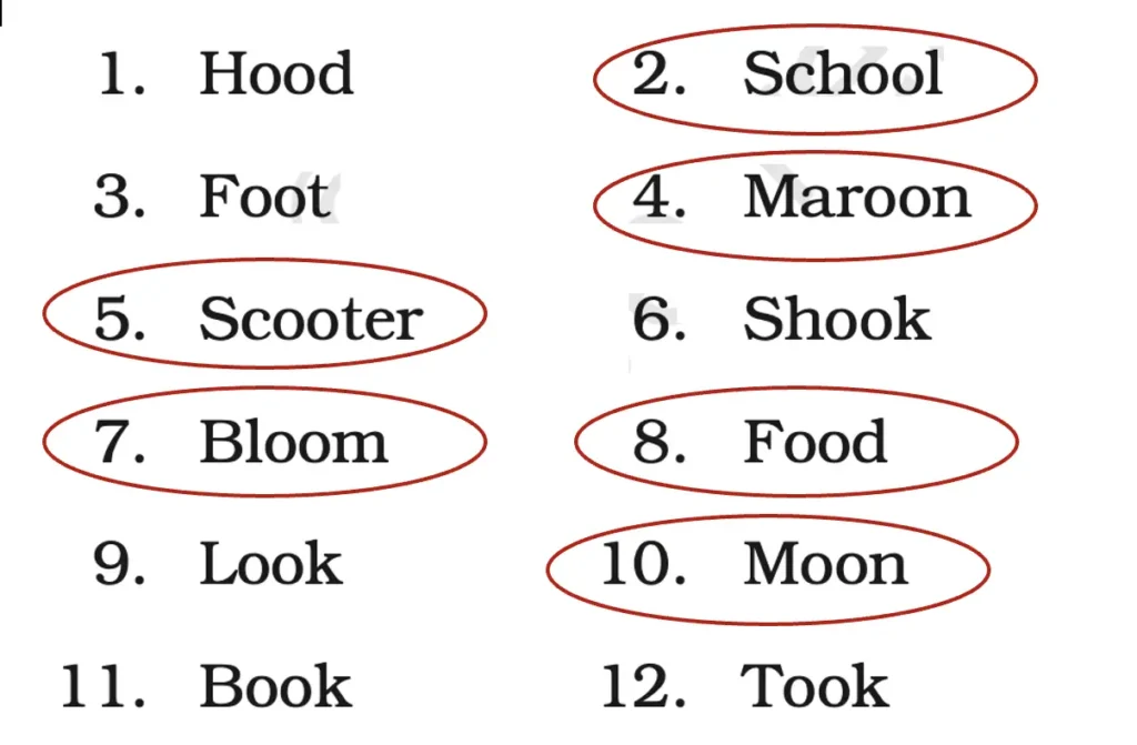 class 5 english santoor chapter 2 gone with the scooter image 10