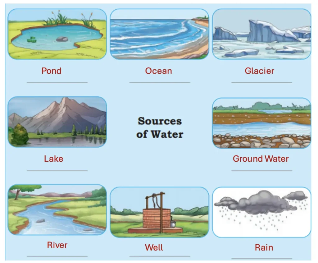 class 5 evs chapter 1 water the essence of life image 2
