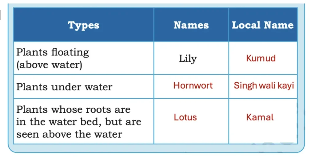 class 5 evs chapter 1 water the essence of life image 21