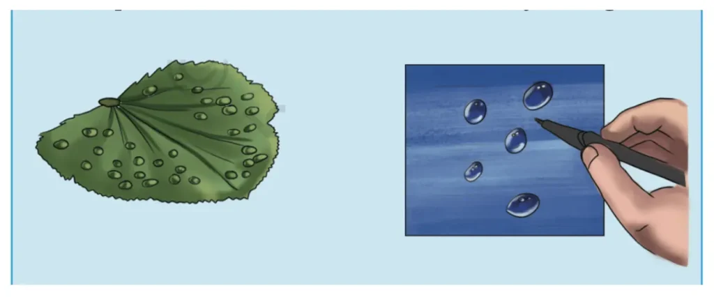 class 5 evs chapter 1 water the essence of life image 22