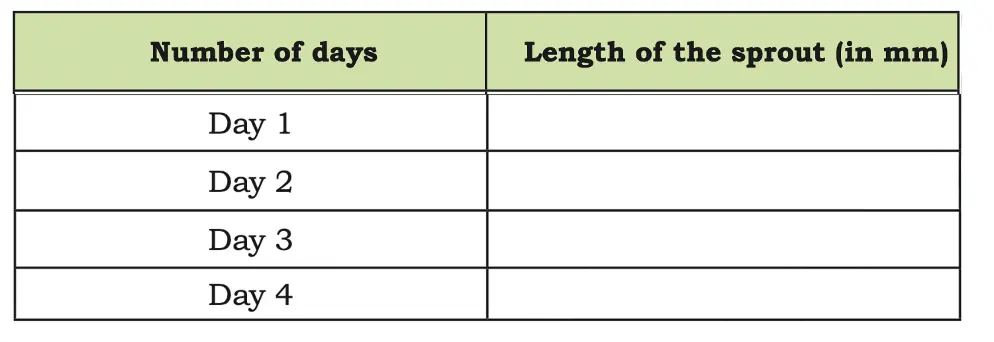 class 5 maths mela chapter 5 far and near image 11