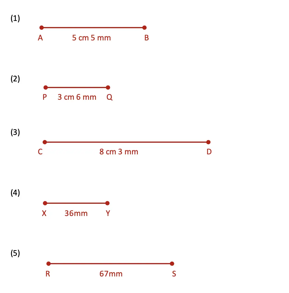 class 5 maths mela chapter 5 far and near image 13