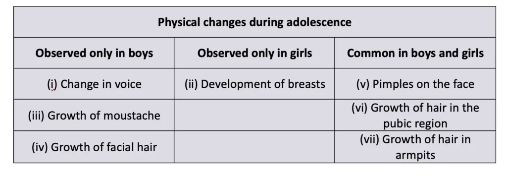 class 7 science curiosity chapter 6 adolescence a stage of growth and change image 3