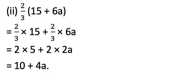 class 8 maths ganita prakash chapter 6 we distribute yet things multiply image 3