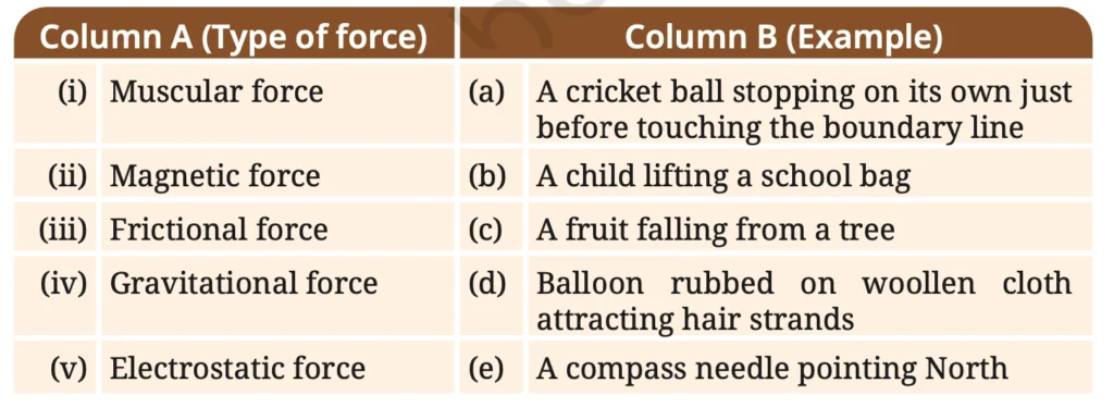 exploring forces class 8 science curiosity chapter 5 image 1