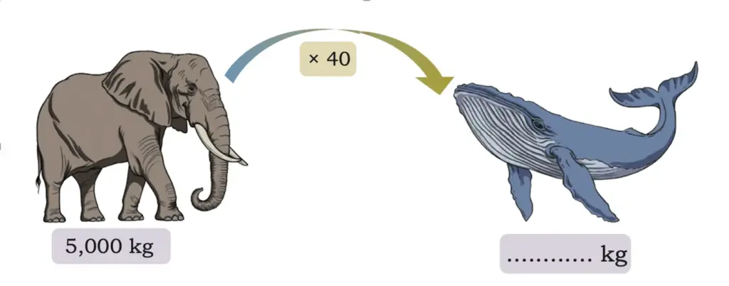class 5 maths mela chapter 8 weight and capacity image 26
